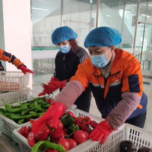智慧食堂配送系统：优化食品供应链的新趋势
